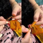 Trước khi giải thể, bà Tuyết Diamond từng dính phốt gì? 1750745866 giun width1200height1074