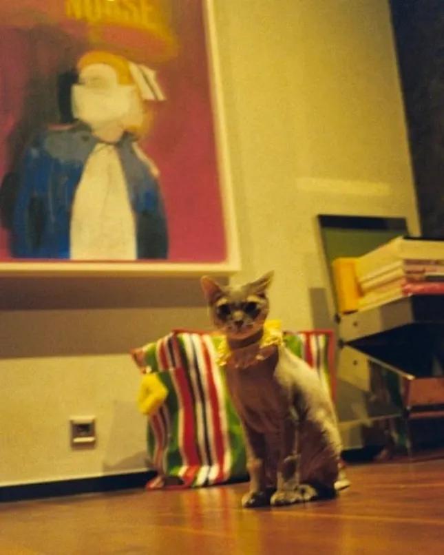 GD sở hữu tác phẩm