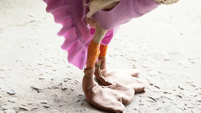 Anh Tý tự may cho chú ngỗng đôi giày bằng vải mềm để đi đường nhựa bớt đau chân.