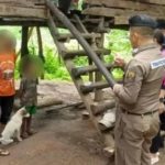 Cậu bé bị mẹ bỏ mặc phải sống với chó, giao tiếp bằng cách sủa 1751689939 431 thumbnail width740height495 anh cat 3 2 auto cropjpg