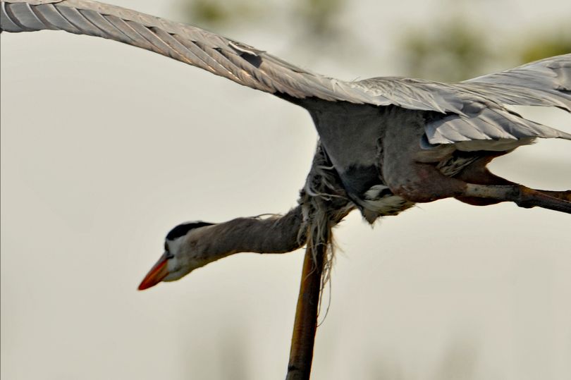 Bức ảnh phép màu: Phóng to lên mới thấy điều rùng mình và đáng suy ngẫm!- Ảnh 3.