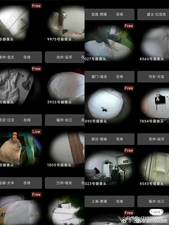 “Phòng chat thứ N” Trung Quốc bị phanh phui: Rùng mình trước loạt video bị quay lén, số lượng thành viên gây sốc- Ảnh 1. “Phòng chat thứ N” Trung Quốc bị phanh phui: Rùng mình trước loạt video bị quay lén, số lượng thành viên gây sốc- Ảnh 1.