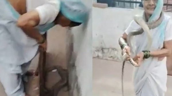 Phát hiện rắn chui vào nhà, cụ bà 70 tuổi có hành động gây sốc 1753840018 126 thumbnail width740height495 anh cat 3 2 auto cropjpg