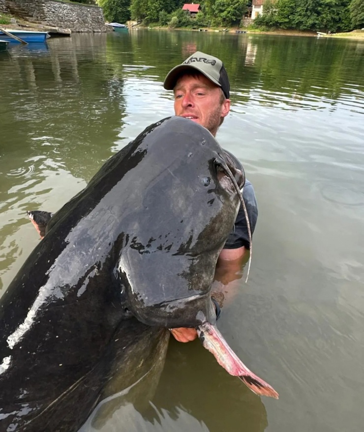 Cần thủ câu được con cá trê khổng lồ dài 2,68 mét trên sông - 2