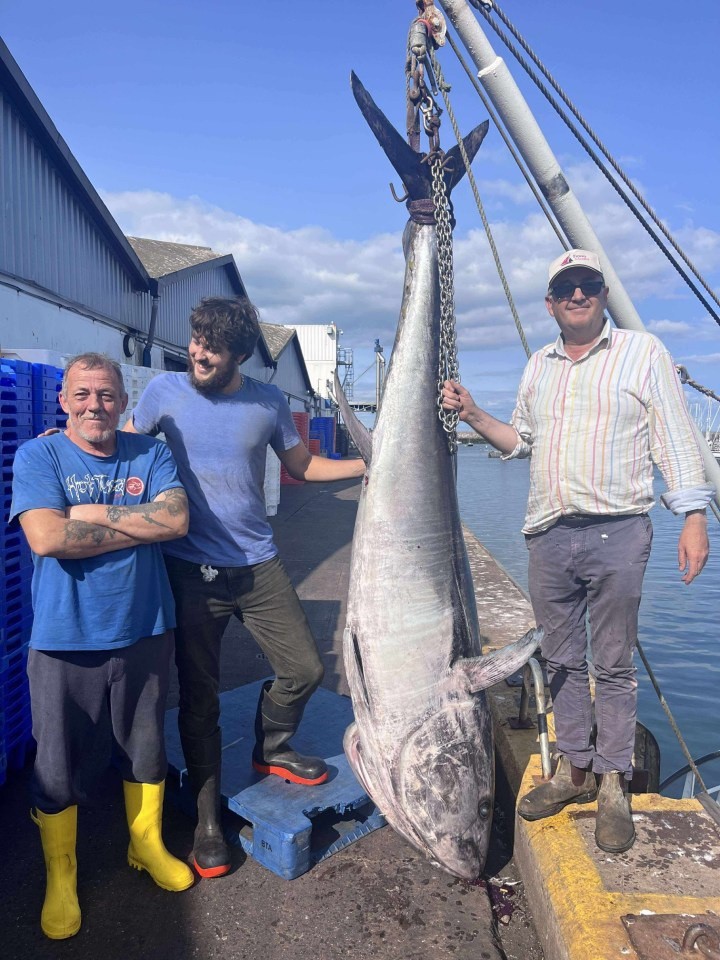 Các ngư dân chụp ảnh cùng con cá ngừ vây xanh khổng lồ. (Nguồn: BNPS)