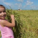 Việt Nam tặng món quà "đặc biệt" cho người dân Cuba 1755746925 731 thumbnail width740height495 anh cat 3 2 auto cropjpg