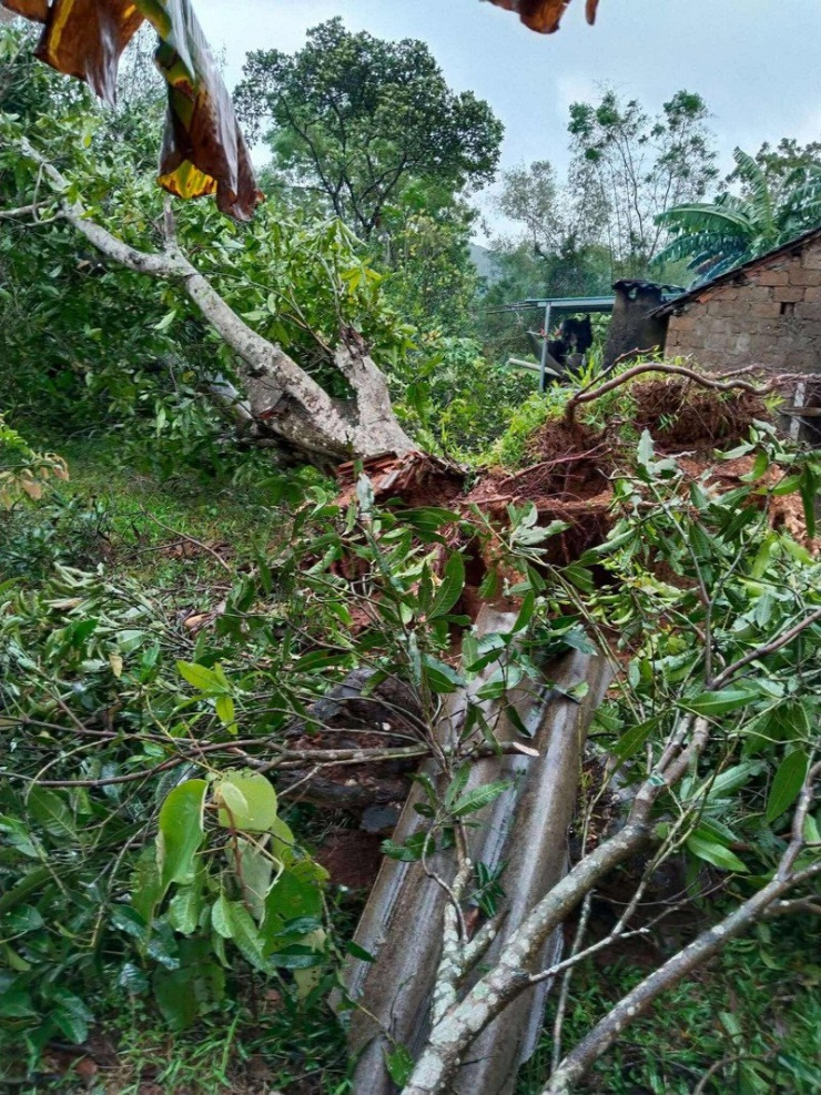 Chuyện ấm lòng sau bão: Thoát 'biển nước' nhờ người lạ, cho cả xóm sạc pin nhờ - 5
