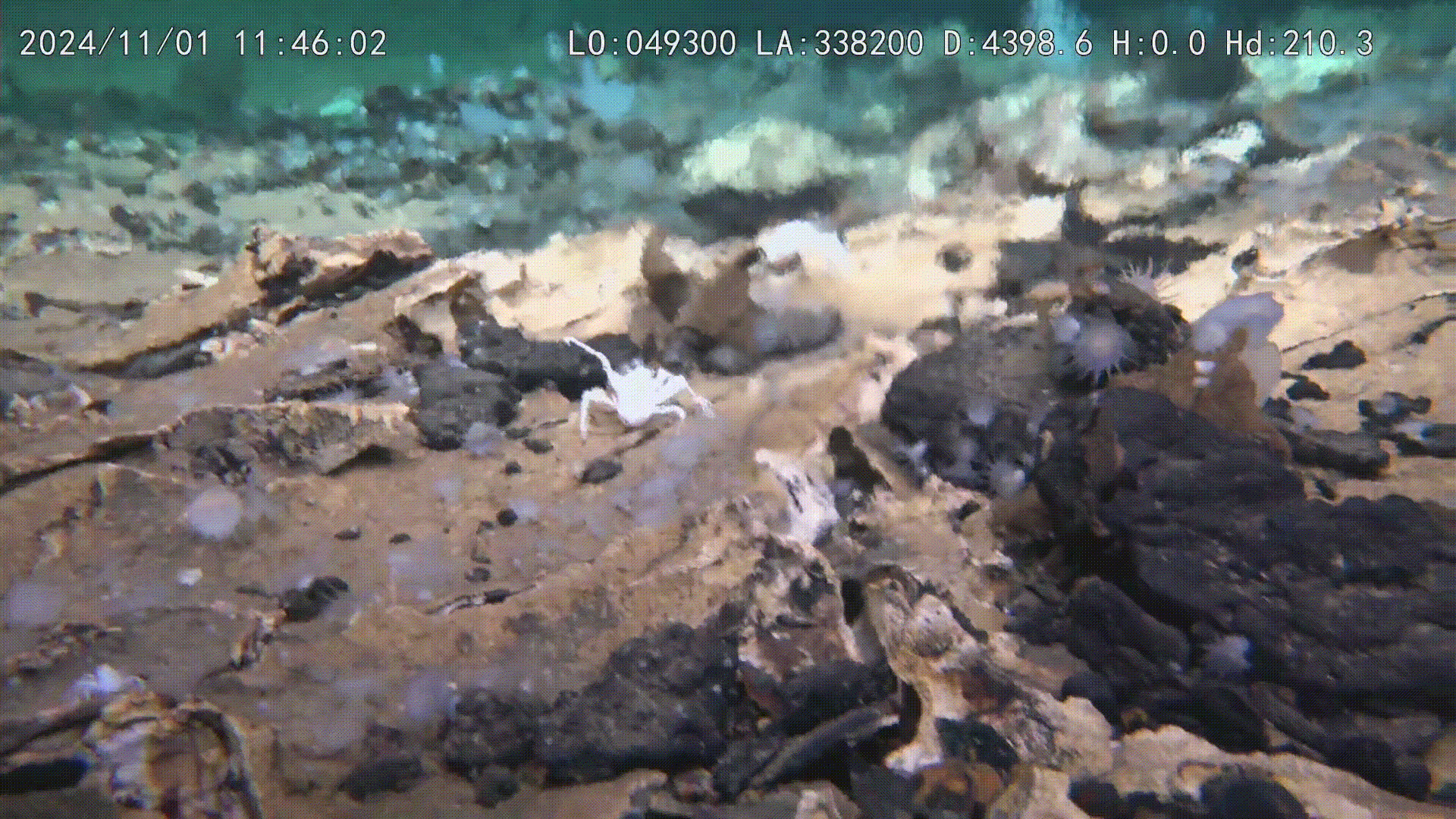 Ảnh động phản ánh góc máy của tàu ngầm thám hiểm hệ thống Côn Lôn - Ảnh: VIỆN HÀN LÂM KHOA HỌC TRUNG QUỐC