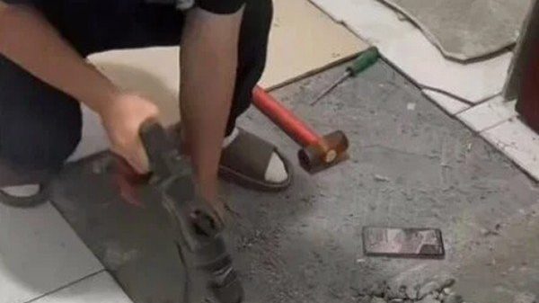 Thấy chú chó cứ cào xuống sàn nhà, người chủ nạy gạch và phát hiện vật bất ngờ 1757912162 open width600height598