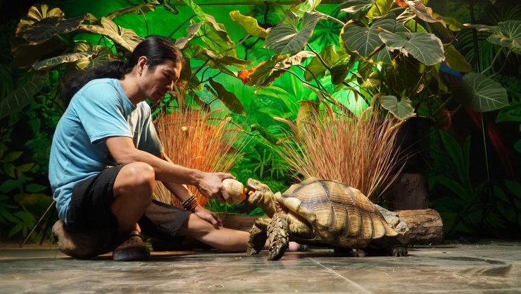 1758414476-hdm00057-2101-width1900height1069 Anh Nghĩa cho rùa ăn cách ngày với nguồn nguyên liệu