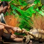 Người đàn ông ở Hà Nội nuôi thú cưng 'khổng lồ', mỗi bữa tốn vài cân thức ăn 1758415816 895 thumbnail width740height495 anh cat 3 2 auto cropjpg