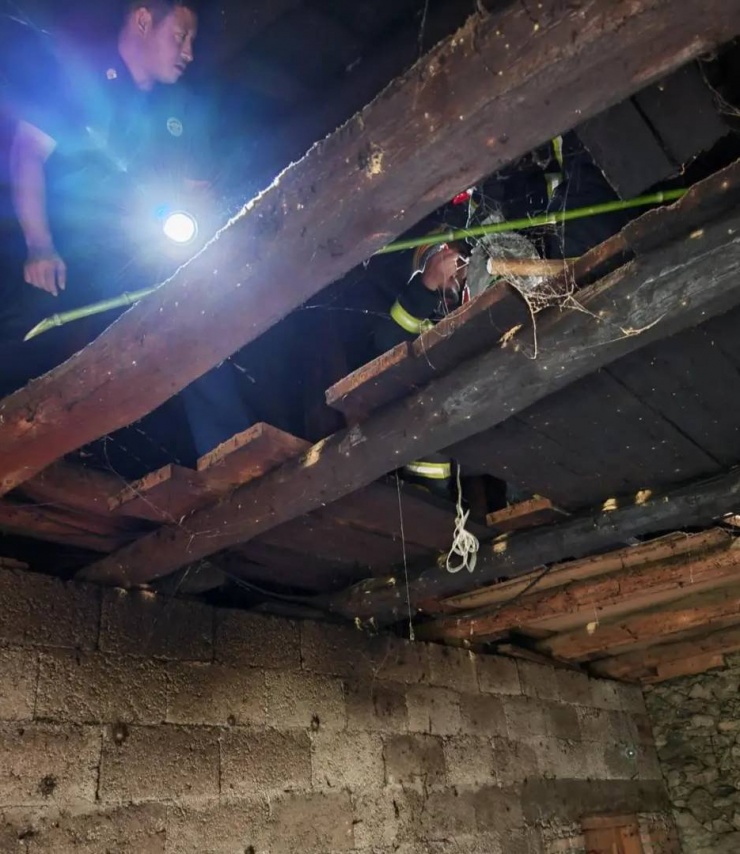 Lực lượng cứu hộ cẩn trọng bắt rắn. Ảnh: Sohu