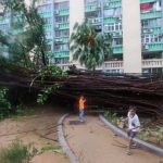 Một thói quen hằng ngày của chúng ta cũng góp phần hạn chế biến đổi khí hậu 1758764781 ragasa 1 width1024height683