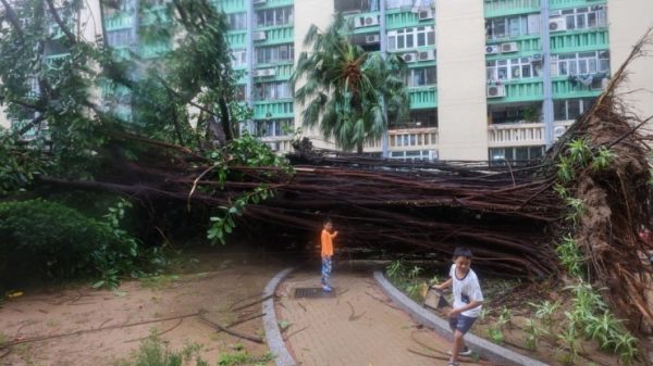 Một thói quen hằng ngày của chúng ta cũng góp phần hạn chế biến đổi khí hậu 1758764781 ragasa 1 width1024height683