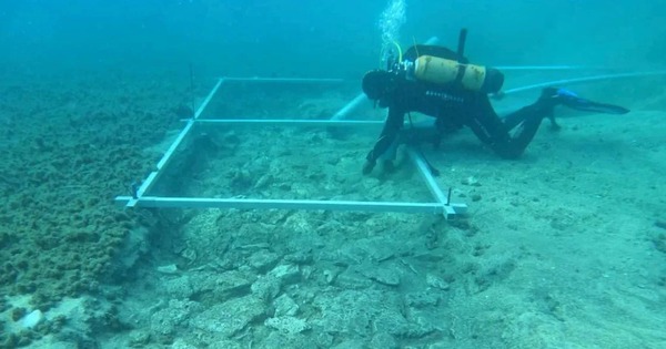 Phát hiện điều không tưởng 7.000 năm tuổi dưới lòng Địa Trung Hải 1759127387270385015618 1759129151255 175912915154785443545 0 88 699 1206 crop 17591291660941799063342jpg