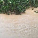 Người phụ nữ Thái Nguyên lên mạng cầu cứu 1759817209 611 thumbnail width740height495 anh cat 3 2 auto cropjpg