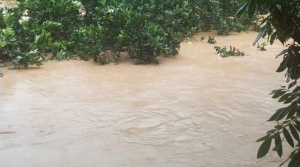 Người phụ nữ Thái Nguyên lên mạng cầu cứu 1759817209 611 thumbnail width740height495 anh cat 3 2 auto cropjpg