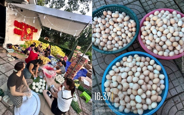 1759969714-anh-4-4110-width800height500 Người dân góp 1.200 quả trứng