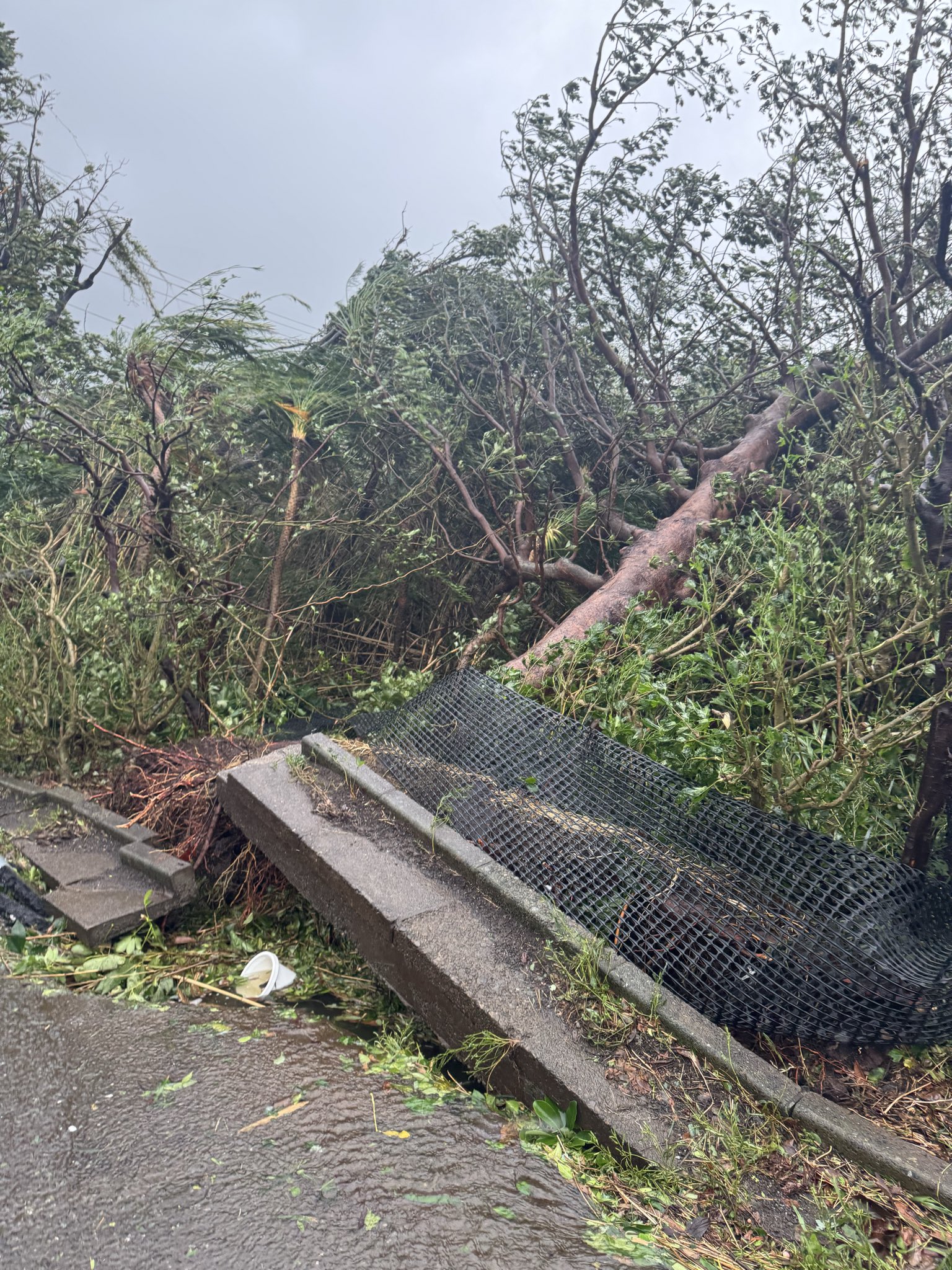 Bão Hạ Long gây cảnh tượng kinh hoàng tại Nhật Bản- Ảnh 1.