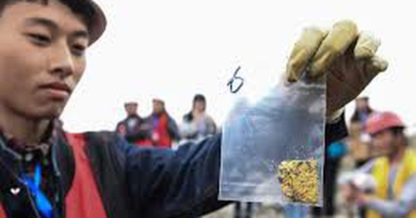 Phát hiện số vàng trị giá 12.000 tỷ dưới sông 1761021689593210927544 1761035178021 1761035178339422005735 0 0 162 260 crop 1761035196695424744103jpg