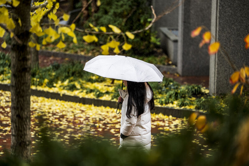 Sự chậm trễ của mùa thu- Ảnh 1.