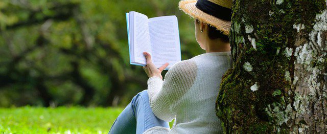 1761957262-bai-viet-ve-voi-thien-nhien-chua-lanh-tinh-than-desktop-1366x560-5-47363-width640height262 Ảnh minh họa