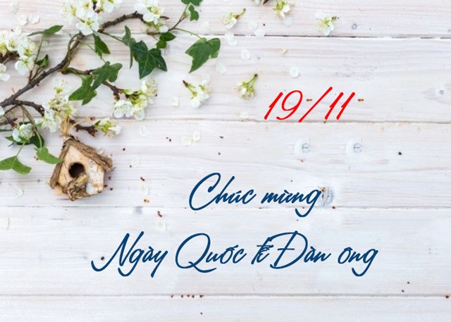 Những mẫu thiệp chúc mừng ngày Quốc tế Đàn ông 19/11 online đẹp nhất là món quà ý nghĩa gửi tặng phái mạnh.