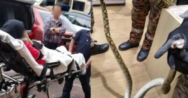 Nữ nhân viên bị trăn dài 2 mét cắn khi đang sử dụng nhà vệ sinh 1764137226 442 thumbnail width740height495 anh cat 3 2 auto cropjpg 1