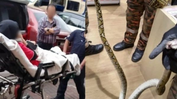 Nữ nhân viên bị trăn dài 2 mét cắn khi đang sử dụng nhà vệ sinh 1764137226 442 thumbnail width740height495 anh cat 3 2 auto cropjpg