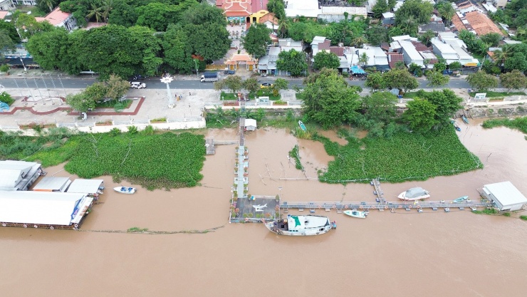 Khu vực đàn cá đang trú ẩn. Ảnh: T.X