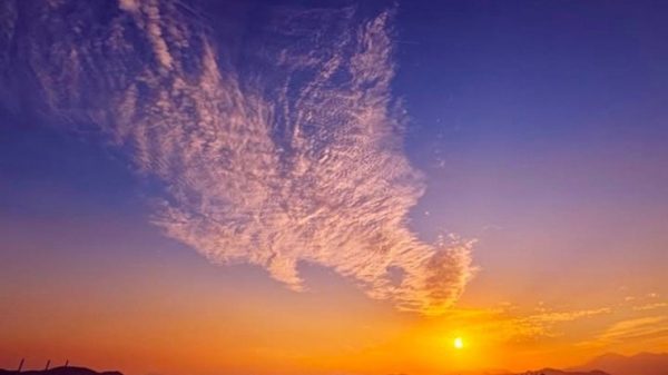 Mây hình phượng hoàng nhìn xuống ở Hong Kong trước hỏa hoạn: Là hiện tượng gì? 1764314965 phoenix width900height675