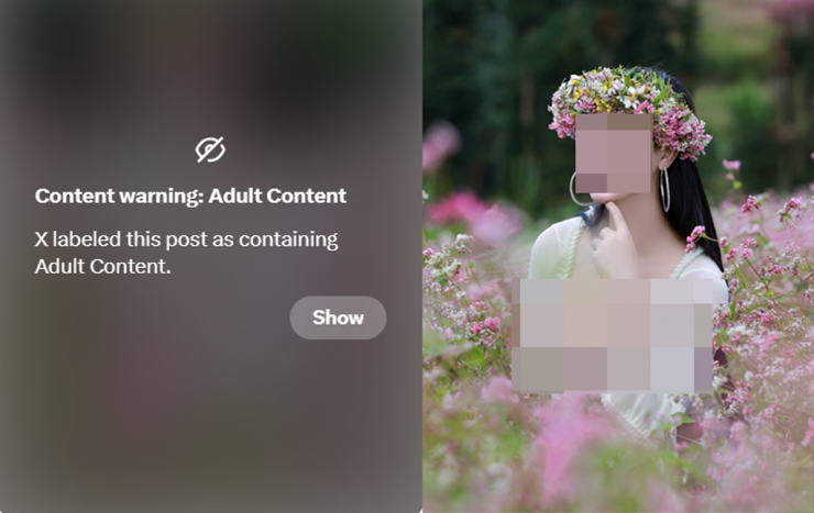 Hình ảnh cô gái trẻ chụp ở dốc Thẩm Mã, bên hoa Tam Giác Mạch phản cảm đến mức các nền tảng mạng xã hội phải che mờ và cảnh báo người xem. Ảnh: Chụp màn hình.