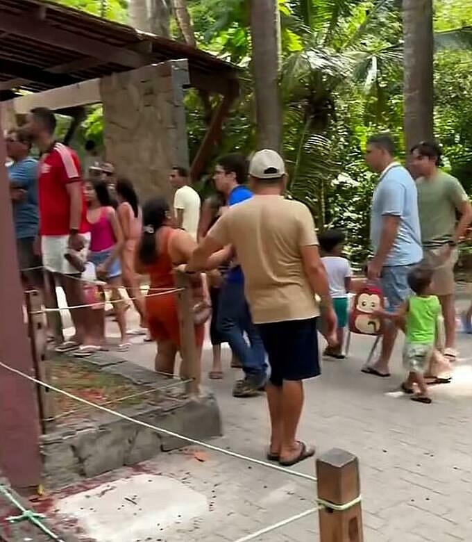 Các du khách, trong đó có nhiều trẻ nhỏ, có mặt khi nam thanh niên trèo vào chuồng sư tử. Ảnh chụp màn hình