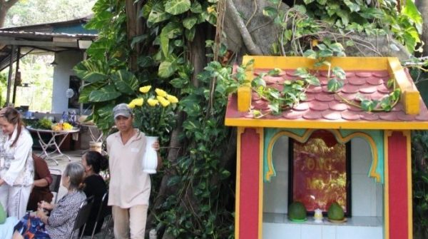 Chuyện kì bí về cây mít nài trăm tuổi ở ngôi miếu nổi tiếng TPHCM 1764993470 573 thumbnail width740height495 anh cat 3 2 auto cropjpg