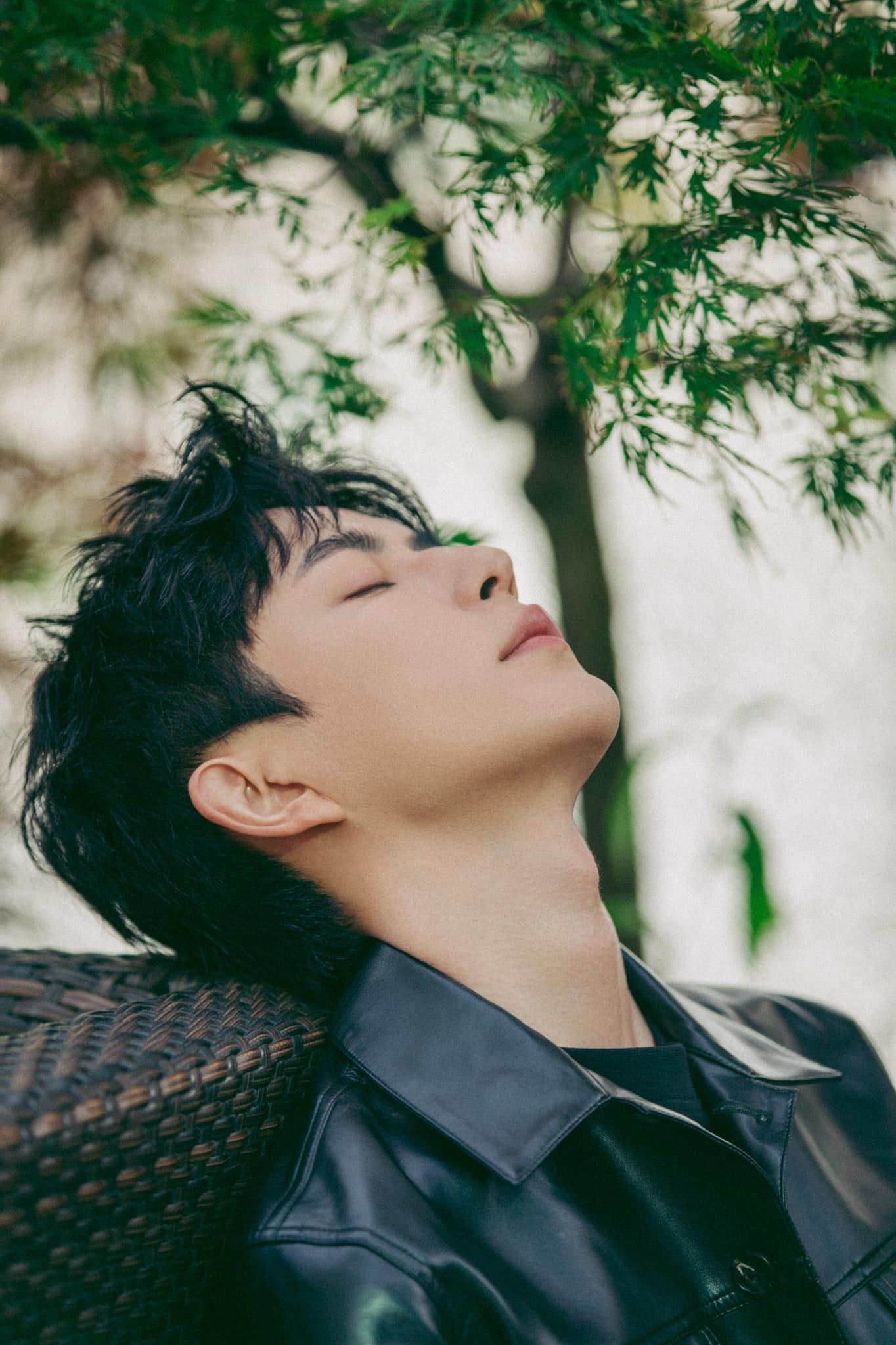 Bi kịch của nam diễn viên qua đời sau vụ ngã lầu- Ảnh 2.