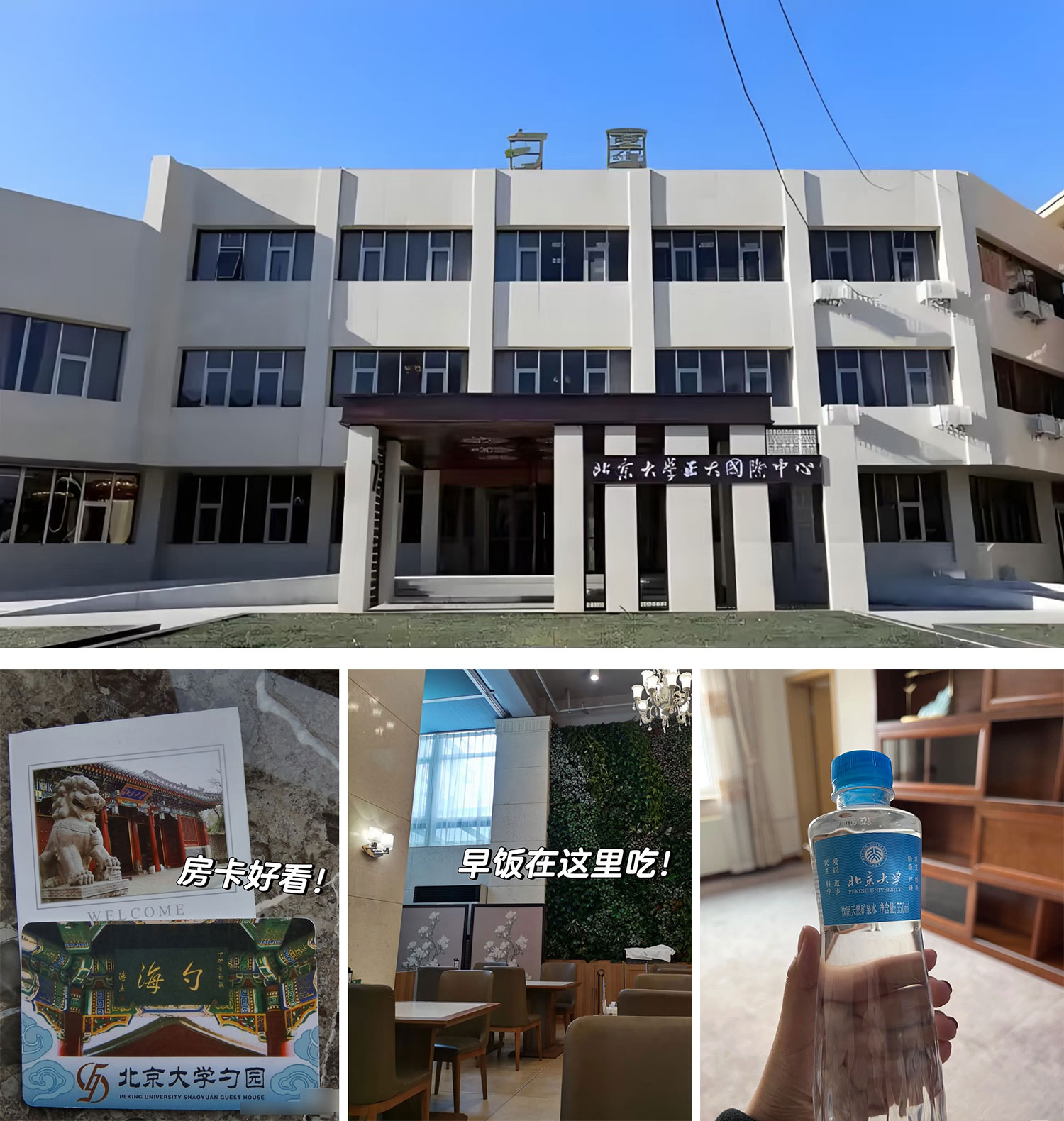 Giới trẻ đổ xô đến khách sạn và quán bar để học- Ảnh 2. Giới trẻ đổ xô đến khách sạn và quán bar để học- Ảnh 2.