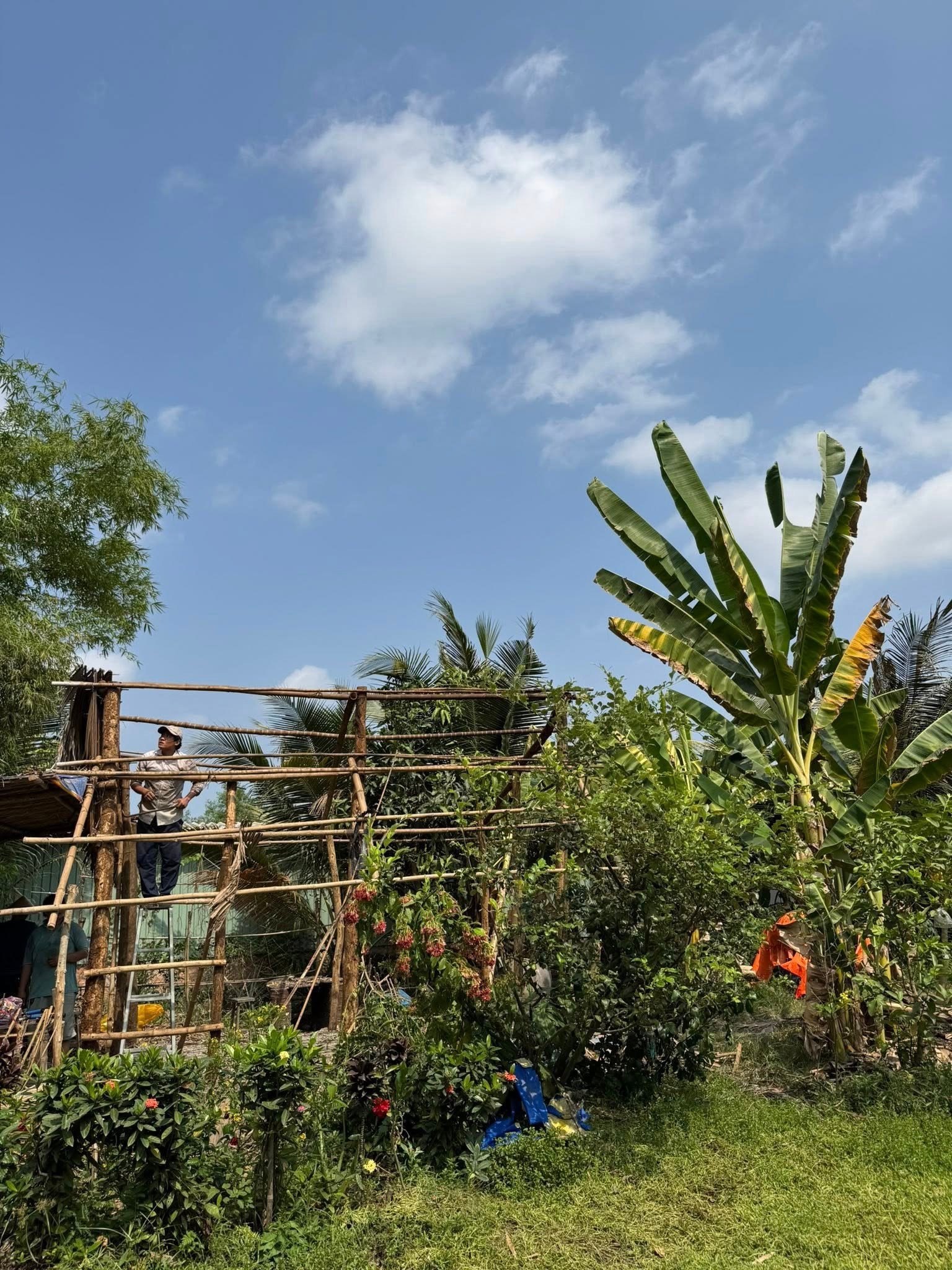 Diễn viên Huỳnh Anh Tuấn cảnh báo - 2