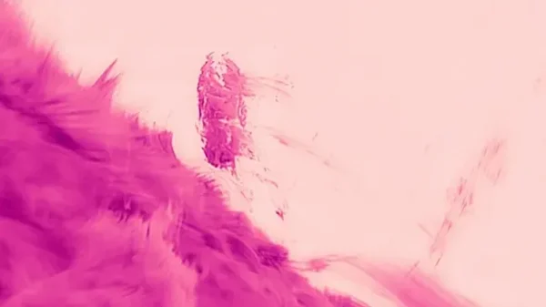 Lần đầu tiên ghi lại được những 'giọt mưa' màu hồng trên mặt trời 2 392 5906jpg 1749202014490 17492020147241617875944