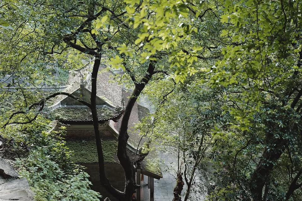 HOT: Suzy đang có mặt ở Việt Nam, cả MXH soi từ hàng cây cho đến vỉa hè để tìm địa điểm check-in- Ảnh 5.