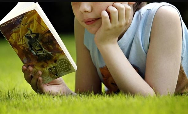 Đan Mạch miễn thuế sách vì 1/4 học sinh 15 tuổi ‘yếu’ khả năng đọc hiểu văn bản đơn giản, giới trẻ ngày này chỉ thích lướt Tiktok, xem livestream- Ảnh 2.