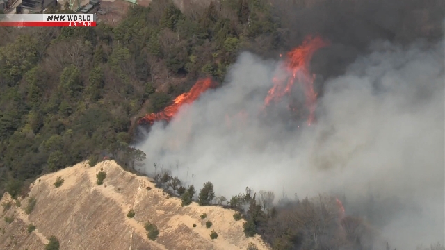 Nhật Bản cũng đang hứng chịu cháy rừng thảm khốc: Hàng ngàn người phải sơ tán, chưa có dấu hiệu kiểm soát được- Ảnh 6.