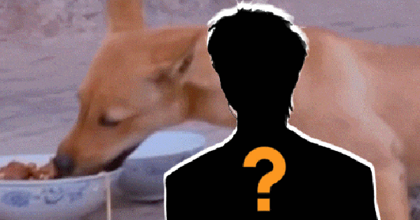 1 sao nam Bố Ơi Mình Đi Đâu Thế gặp nguy hiểm tính mạng 20251019dd821978g00t4dlro00v4d000dz00bgm 1 1760948150043774317822 0 0 261 499 crop 1760948158655939367787gifpng