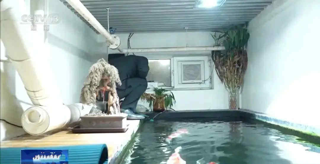 Chi tiền khủng cải tạo tầng hầm chung cư thành ao cá Koi, người đàn ông bị hàng xóm kiện ra tòa: “Anh không được làm thế”- Ảnh 2.