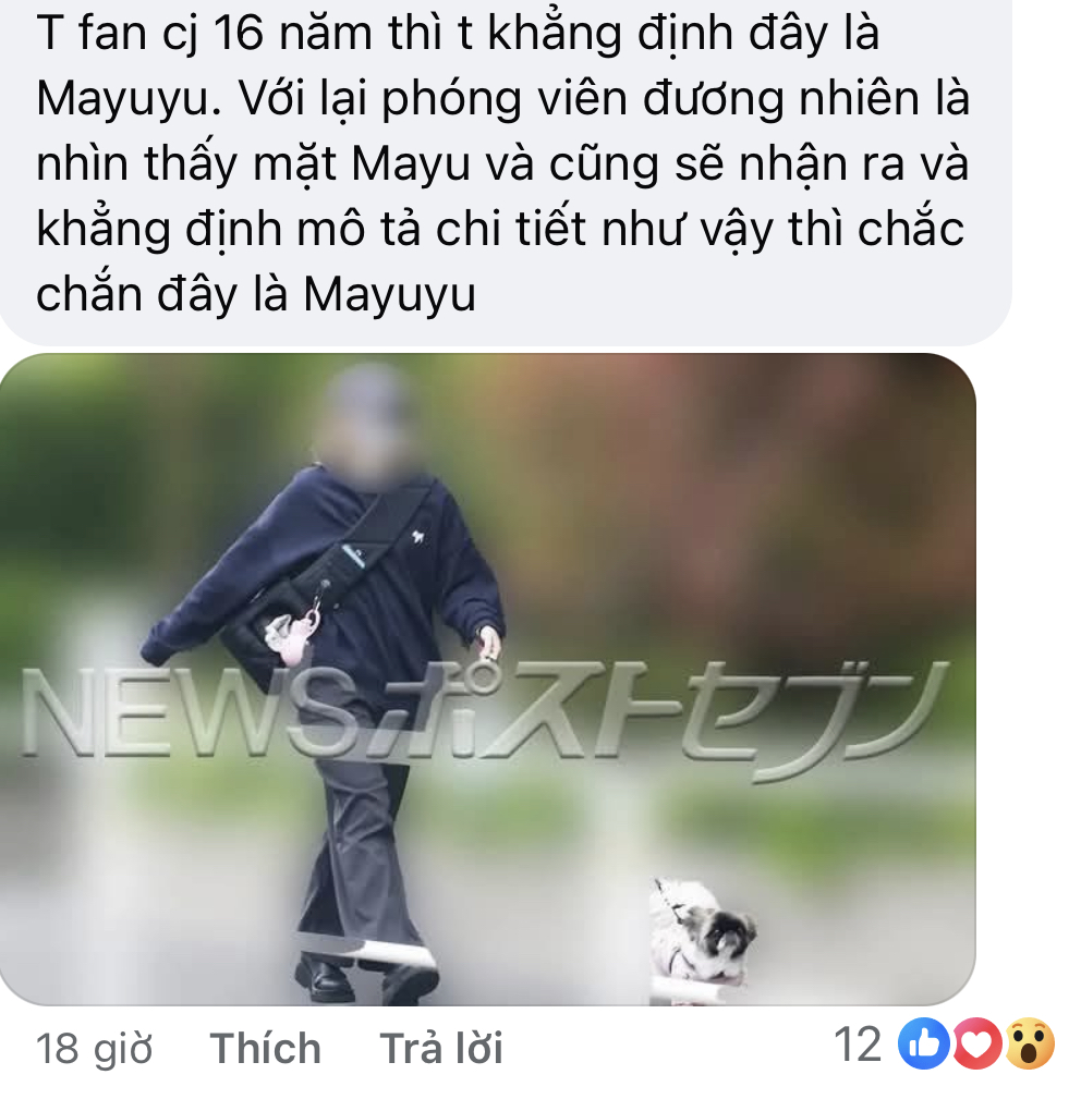 Sự biến mất của nữ thần số 1 quốc dân: 2000 ngày bốc hơi, lục tung cả nước mới chụp được tấm ảnh hiện tại- Ảnh 12.