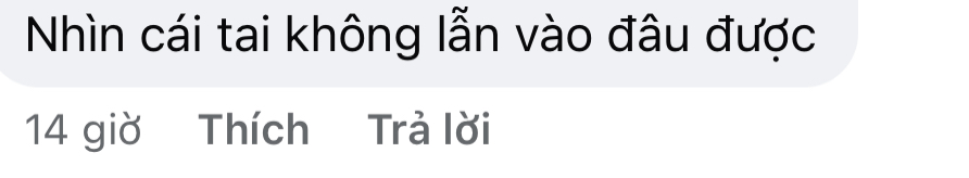Sự biến mất của nữ thần số 1 quốc dân: 2000 ngày bốc hơi, lục tung cả nước mới chụp được tấm ảnh hiện tại- Ảnh 13.