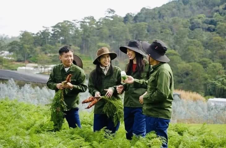 Hé lộ kịch bản tinh vi vụ Hoa hậu Thuỳ Tiên quay clip quảng cáo kẹo Kera- Ảnh 1.