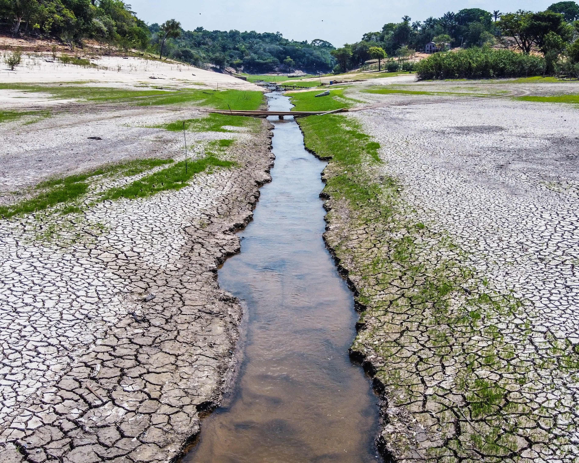 Trái đất vẫn còn cơ hội- Ảnh 3. Trái đất vẫn còn cơ hội- Ảnh 3.