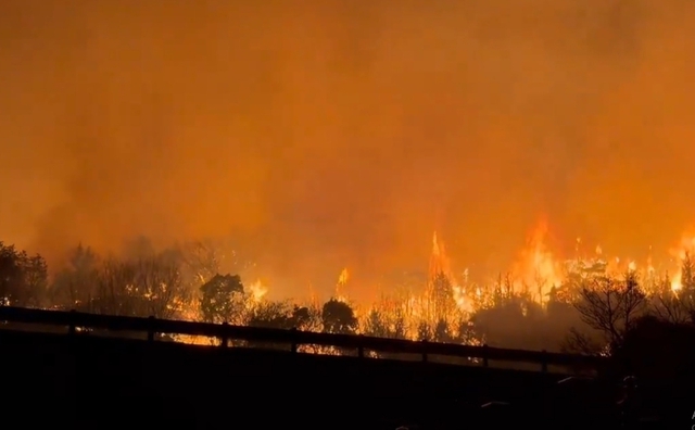 Nhật Bản cũng đang hứng chịu cháy rừng thảm khốc: Hàng ngàn người phải sơ tán, chưa có dấu hiệu kiểm soát được- Ảnh 7.