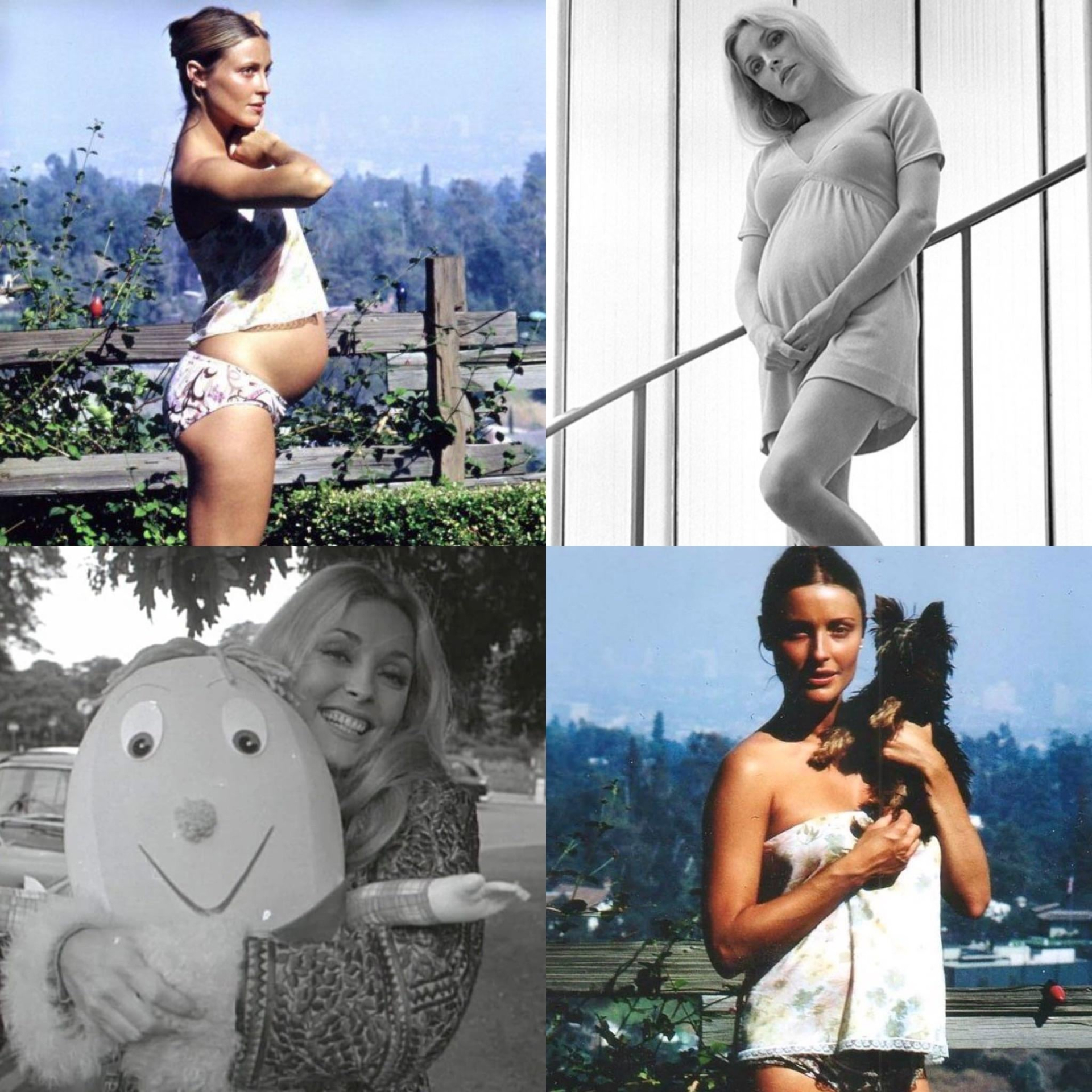 Nữ minh tinh mang thai 8 tháng bị sát hại dã man- Ảnh 2.