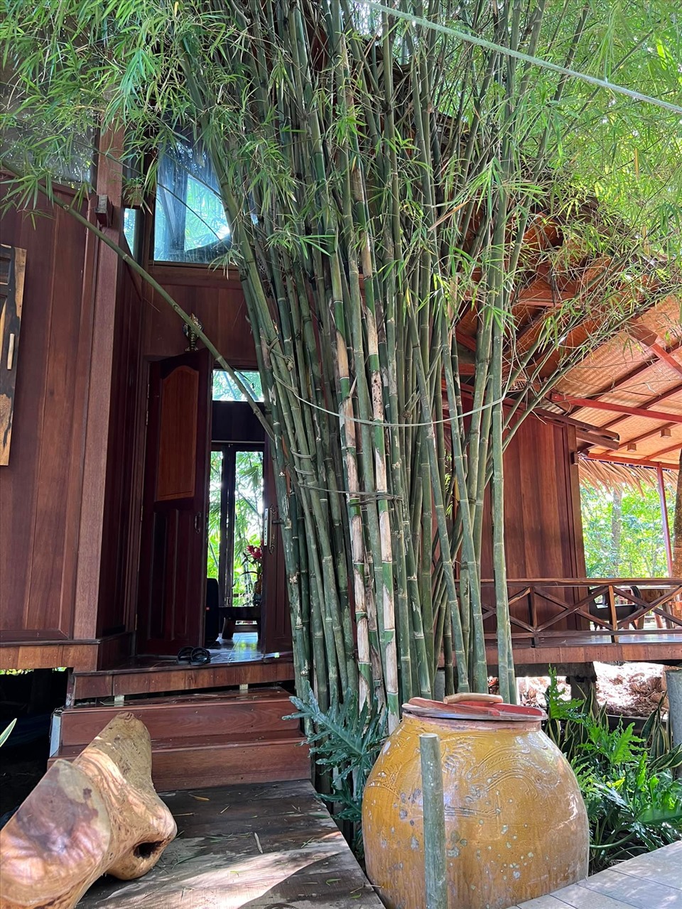 Nữ nghệ sĩ trẻ đẹp là CEO sở hữu spa làm đẹp, khu du lịch sinh thái 50.000m2, sinh 4 con cho đại gia- Ảnh 15.